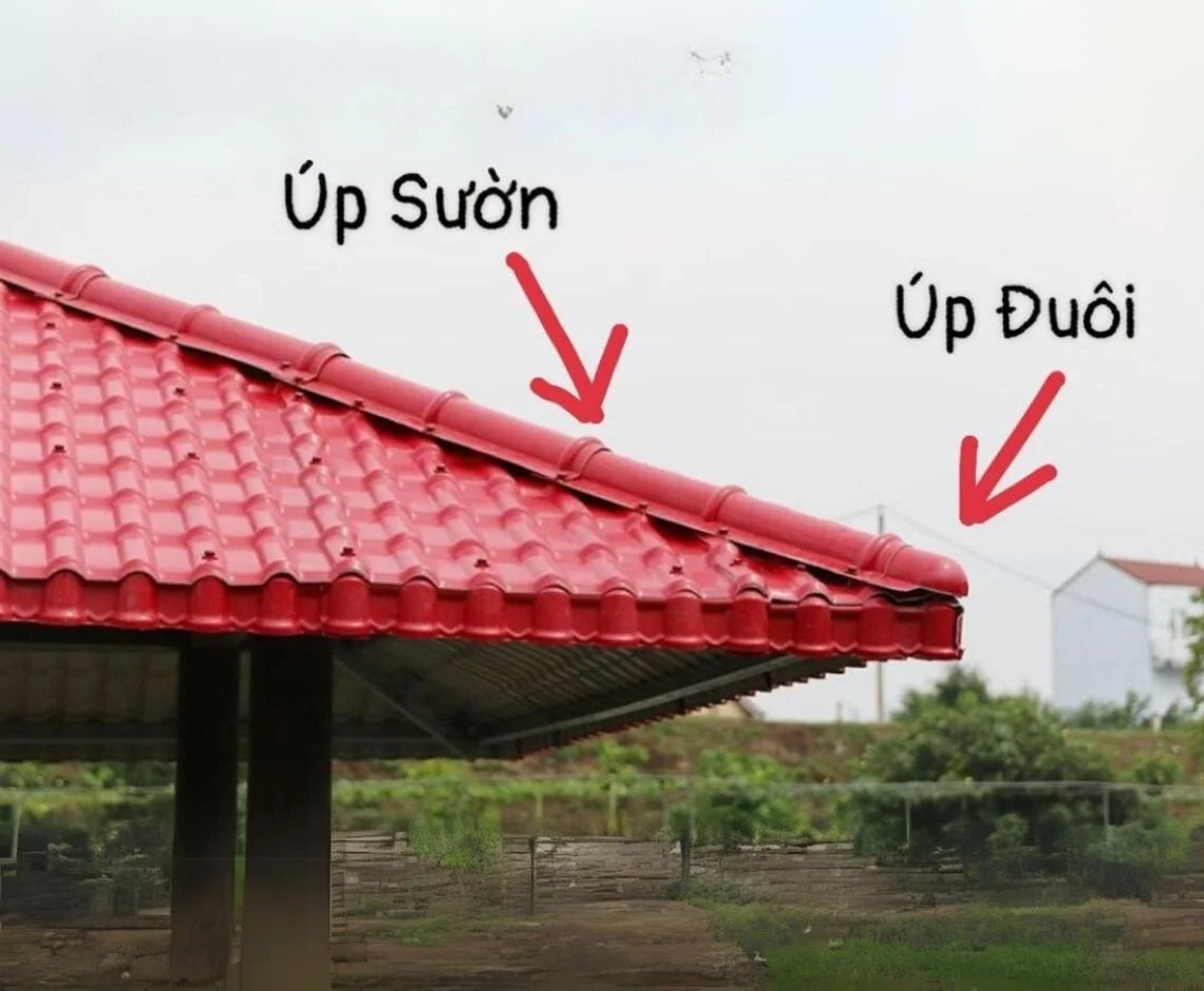 Phụ kiện ngói nhựa PVC