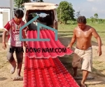 Ngói Nhựa PVC ASA