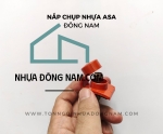 NẮP NHỰA VÍT BẮN TÔN